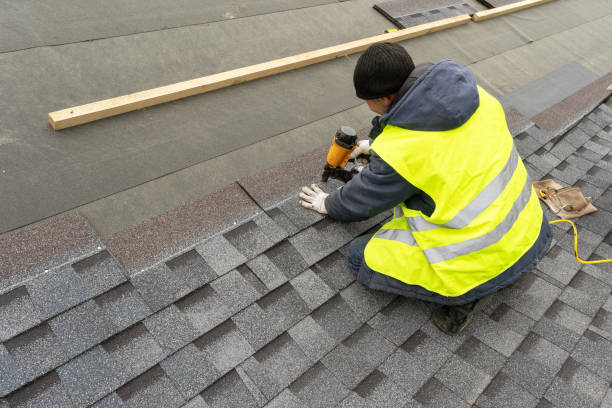 Residential Roof Replacement in Palm Harbor, FL
