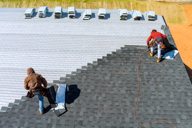 Best Commercial Roofing Services  in Palm Harbor, FL
