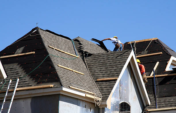 Best Storm Damage Roof Repair  in Palm Harbor, FL