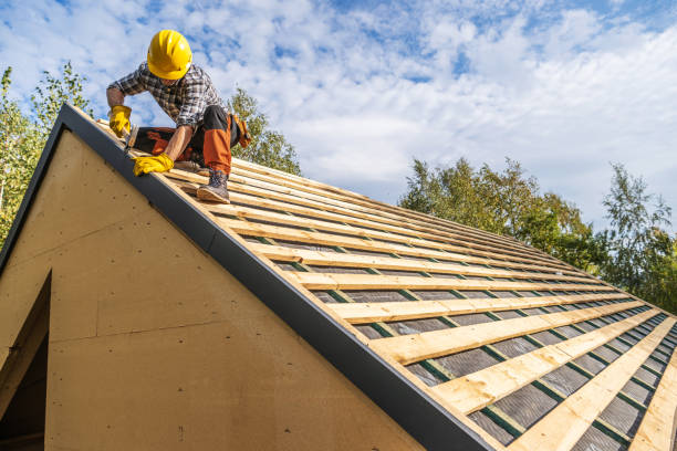 Gutter Installation and Roofing in Palm Harbor, FL