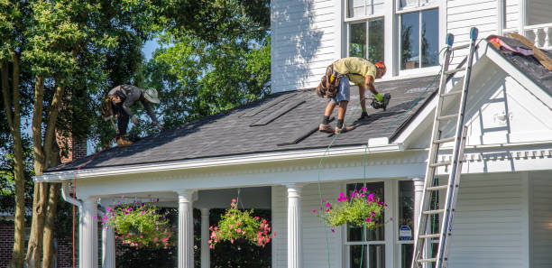 Roof Repair Estimates in Palm Harbor, FL